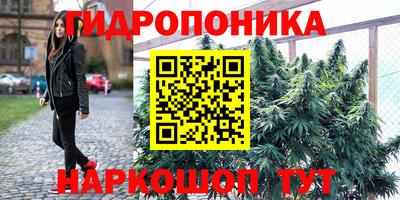 сатива Жуковский