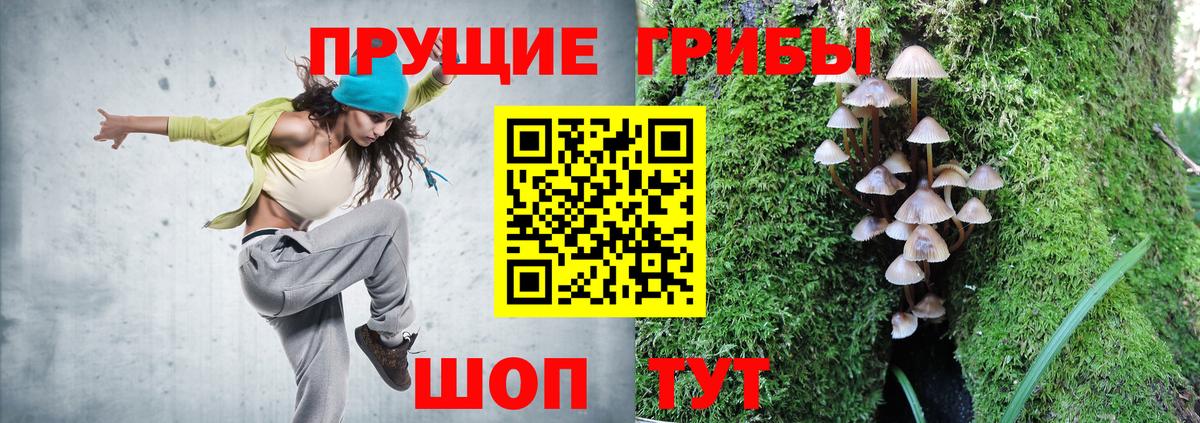 Галлюциногенные грибы Cubensis  дарнет шоп  Менделеевск  Вход с VPN 