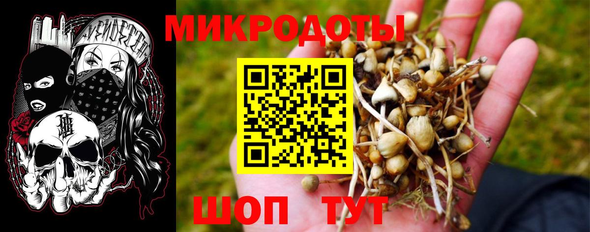 Псилоцибиновые грибы мицелий Менделеевск